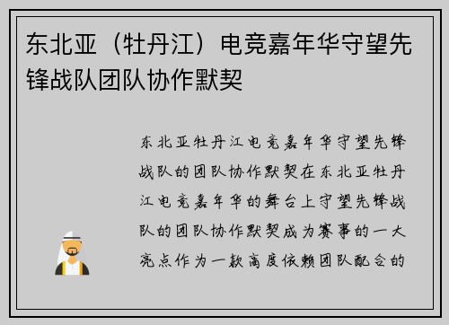 东北亚（牡丹江）电竞嘉年华守望先锋战队团队协作默契