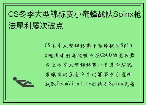 CS冬季大型锦标赛小蜜蜂战队Spinx枪法犀利屡次破点